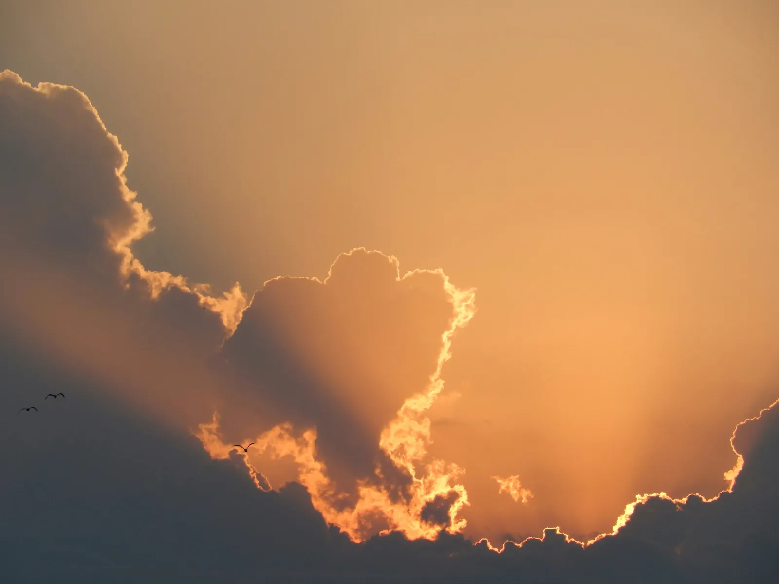 Sunlit clouds against an orange sky.